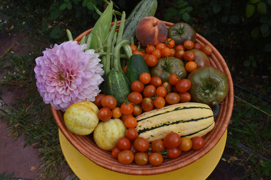 2026 Produce CSA (20 Weeks of Good Food!)