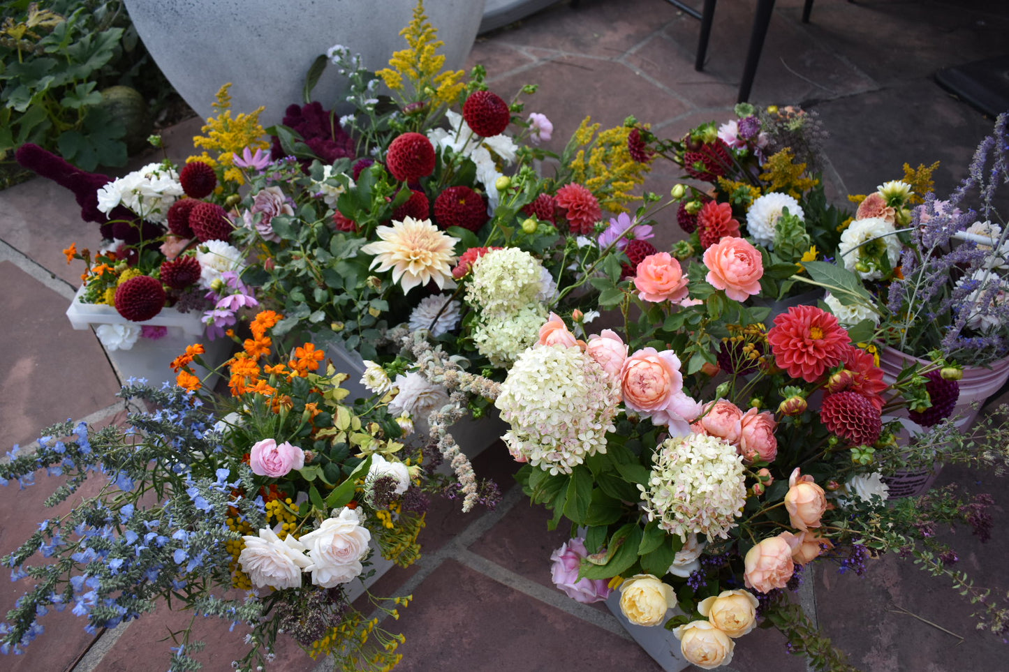 2026 Bi-weekly Flower CSA