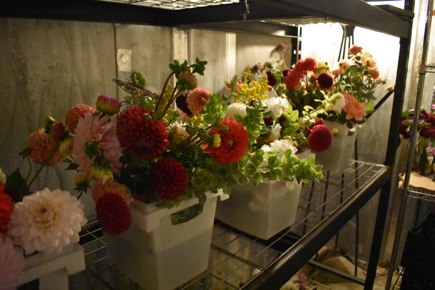 2026 Bi-weekly Flower CSA