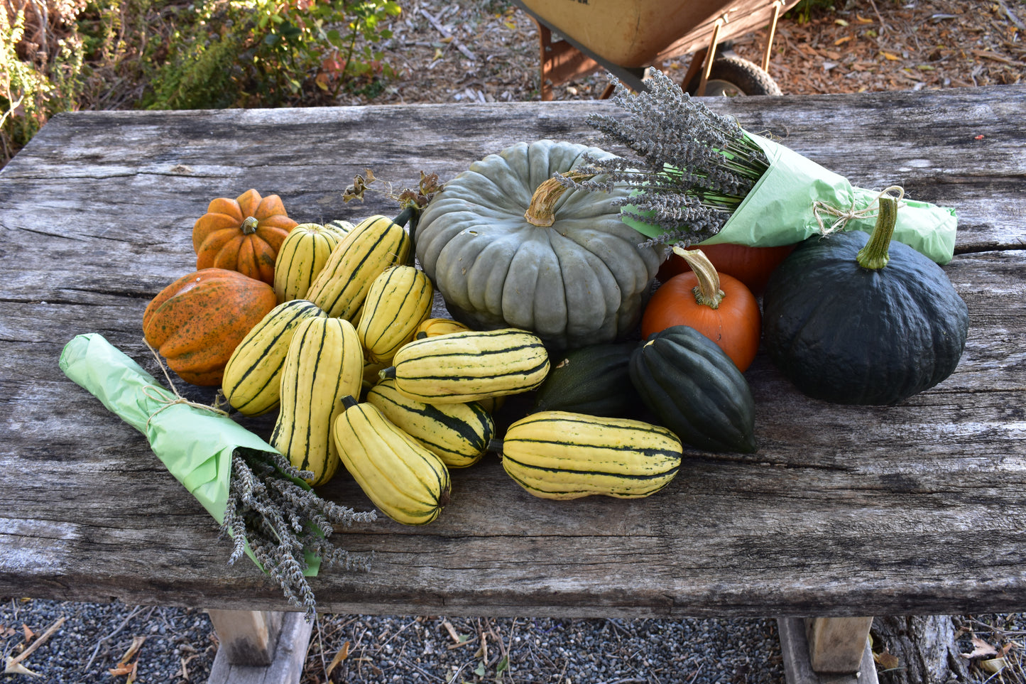 2026 Produce CSA (20 Weeks of Good Food!)