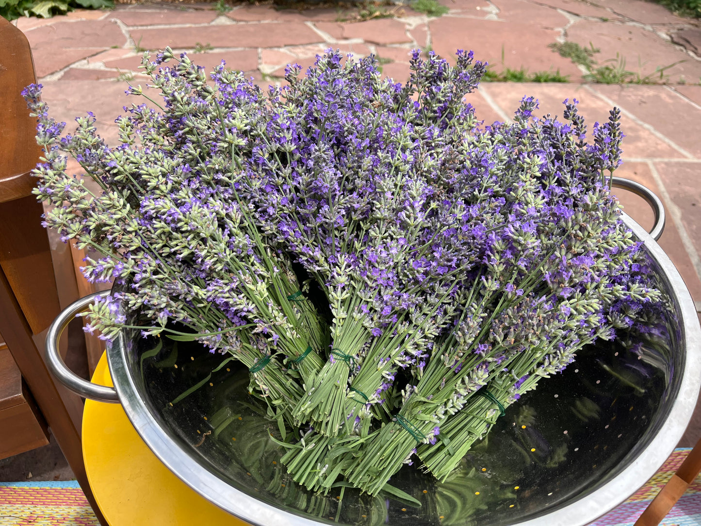 2026 Bi-weekly Flower CSA